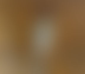 Possible environmental implications revealed during the rehab of one Amur Falcon