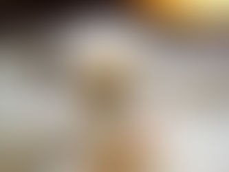 “Toad” the hawk with a mysterious identity