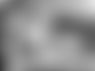 World Falconry Day and what it means to us in Kenya