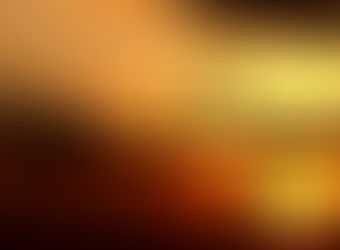 HOW WELL I KNEW YOU MY C1 TAWNY EAGLE