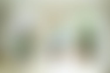 DECLUTTERING (BUT NOT)