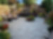 IMG_2389.jpeg