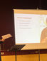 Walking with a Formed Conscience: A Blessed Evening with the LNS Young Adult Group