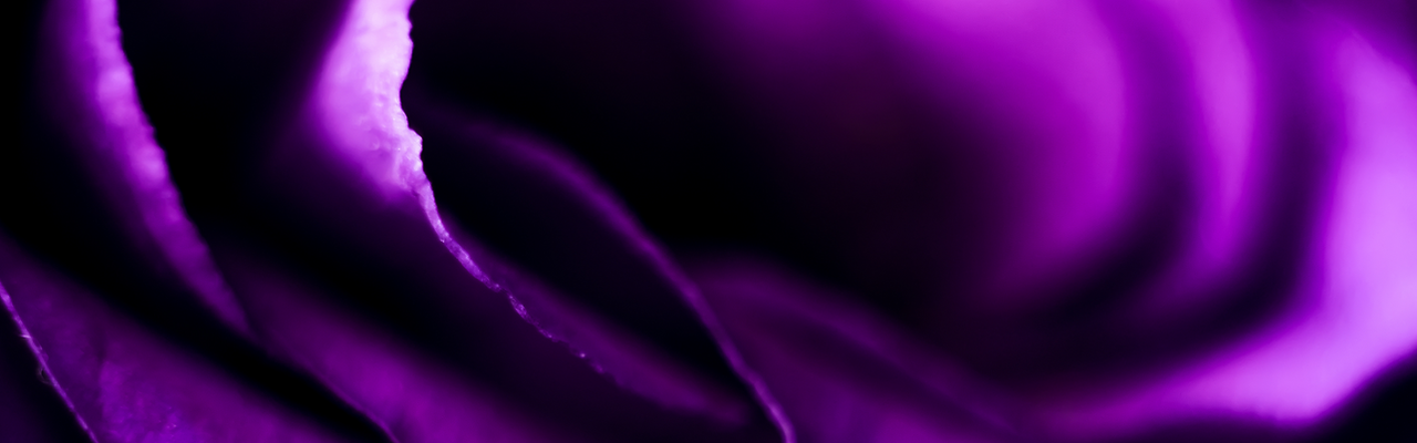 Design ohne Titel(14).png