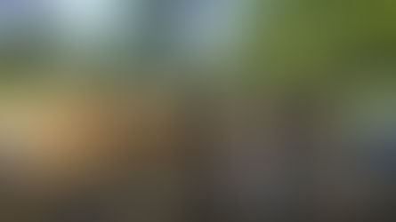 2018 Seoul Garden Show