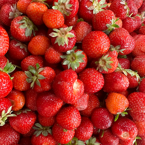 Erdbeeren