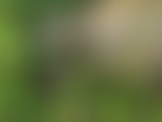 We are ParkIndy: 5 Questions with Devin – Maintenance Tech, Drone Pilot, Lizard Dad, Storm Chaser