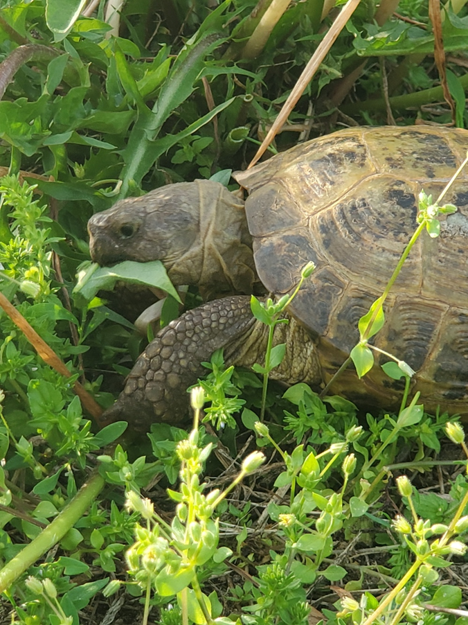 We are ParkIndy: 5 Questions with Devin – Maintenance Tech, Drone Pilot, Lizard Dad, Storm Chaser