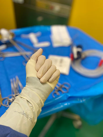 WhatsApp Image 2026-02-01 at 15.01.01.jpeg