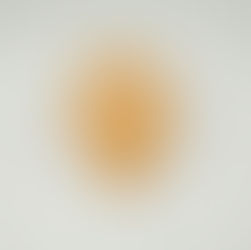 Menopausa e intestino: perché la "pancia a palloncino" non è solo una questione di dieta.  