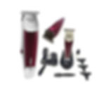 POWERTEC TR-658 Professional Cordless Hair Trimmer with T-Blade