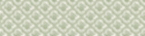 Linkedin_DOG_Banner (1).jpg