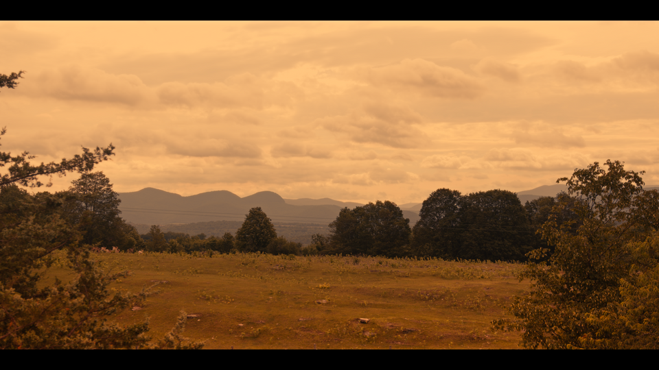 BOY, ALONE IN WOODS Official Production Still 01.png