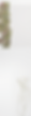 fondo.png