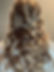 IMG_3388 2.JPEG