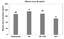 Captura de tela 2021-10-09 135053
