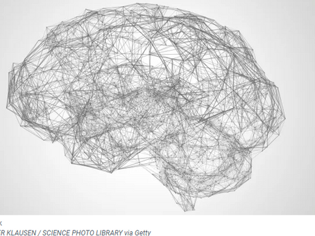 Neural Networks and Their Applications