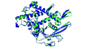 Machine learning in protein structure prediction
