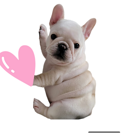 PhotoRoom-20240201_100127.png