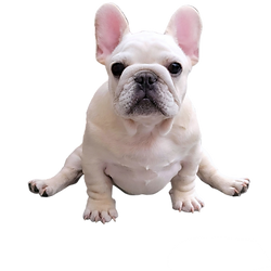 PhotoRoom-20240112_104209.png
