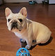 20230324_185531_edited_edited.jpg