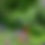Thumbnail: FlowerTower  6