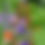 Thumbnail: FlowerTower  6