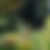 Thumbnail: FlowerTower  6