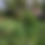 Thumbnail: Garden Pinnacle