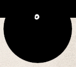 seeds_3.gif