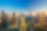 shutterstock_1296266836.jpg
