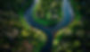 river-runs-through-forest-with-forest-background.jpg