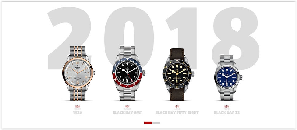 The Tudor Online Watch Store