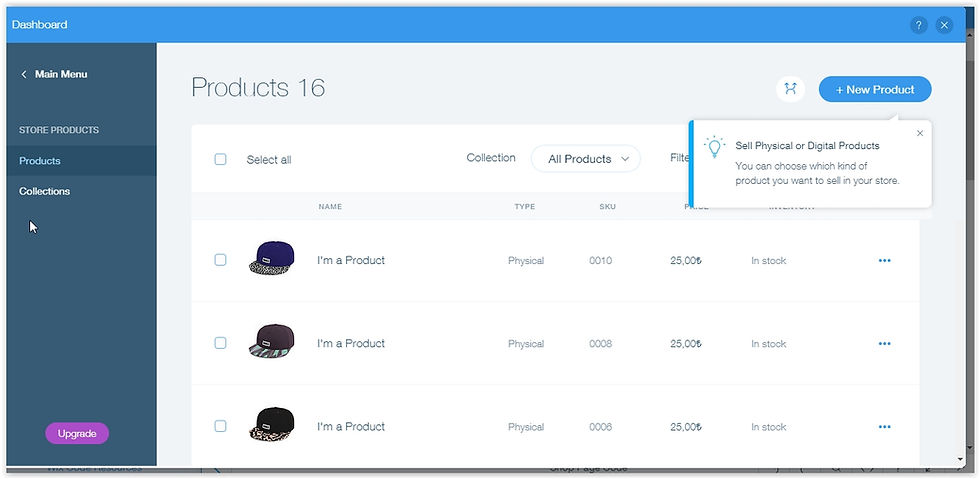 Online store webpage settings