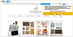 İzmir web tasarım (1)