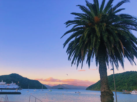 Abel Tasman