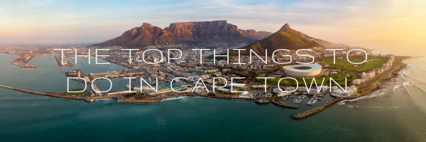 The Top Things To Do In Cape Town