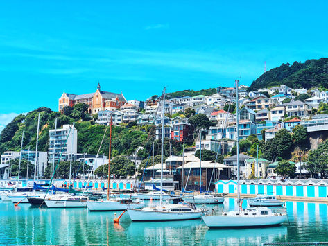 Wandering in Wellington