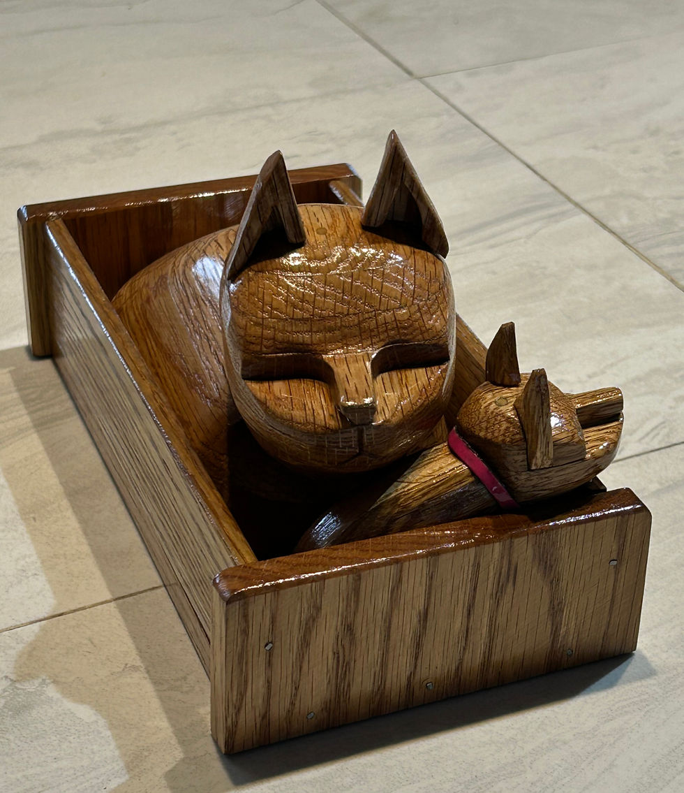 Miniature : Chats
