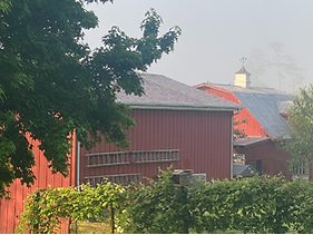 Booklet Bull Mt Farm (5).png