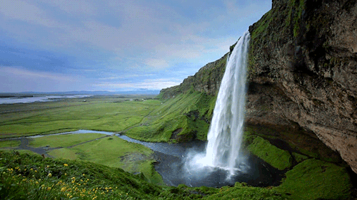 flowing-waterfall-cliff-green-nature-ani