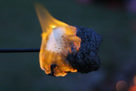 Toasty