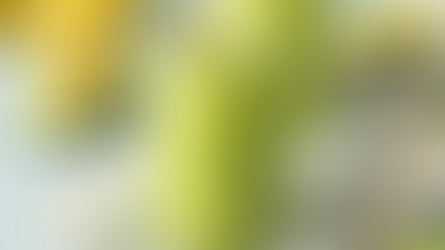 Creamy Avocado Smoothie (TM5, TM6)