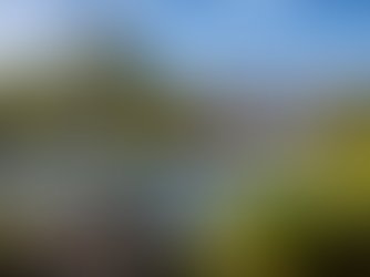 Living in Buchs Switzerland: A Family & Expat Guide You’ll Actually Use (2026)