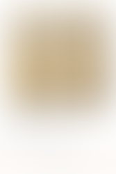 Jelmoli decorative schale