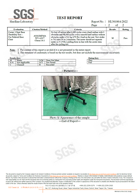 SGS-test report-02