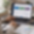 curriculum job image.png