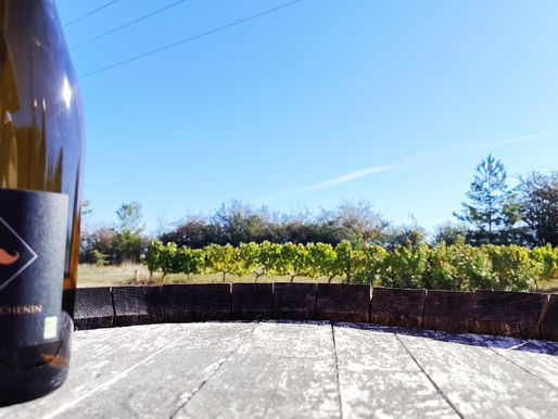 ☆ Une belle reconnaissance pour nos vins ☆