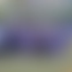 '25 ブログリレー ー MF 森本悠太 ー