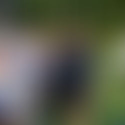 '25 ブログリレー ー HC 秋本勇治 ー